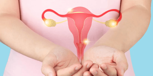 Rajeunissement ovarien