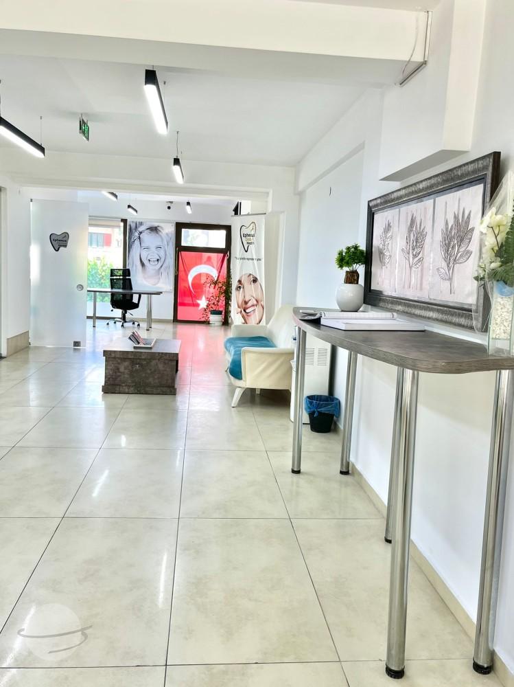 Ephesus dental global 22