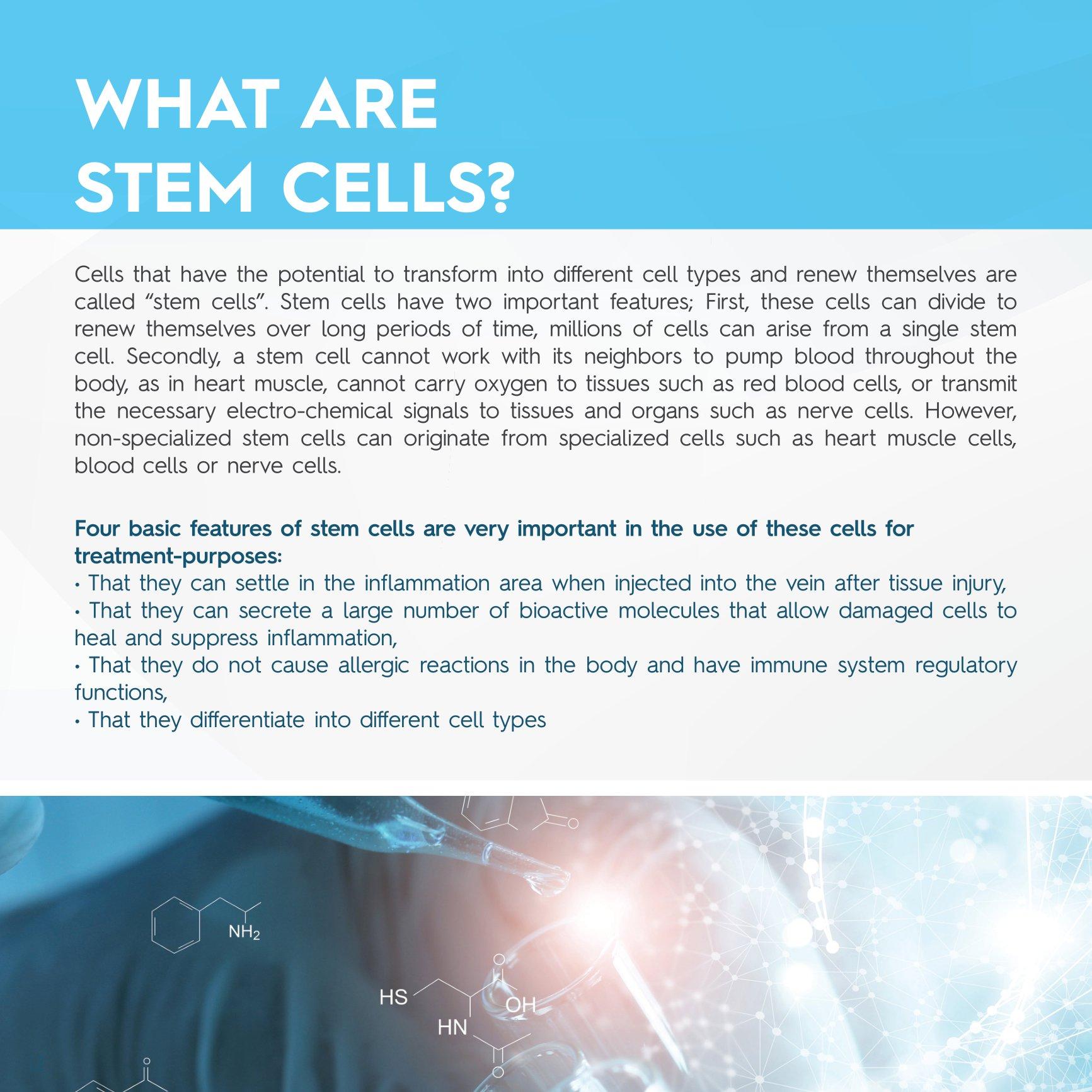 Stem Cell Catalogue New-12