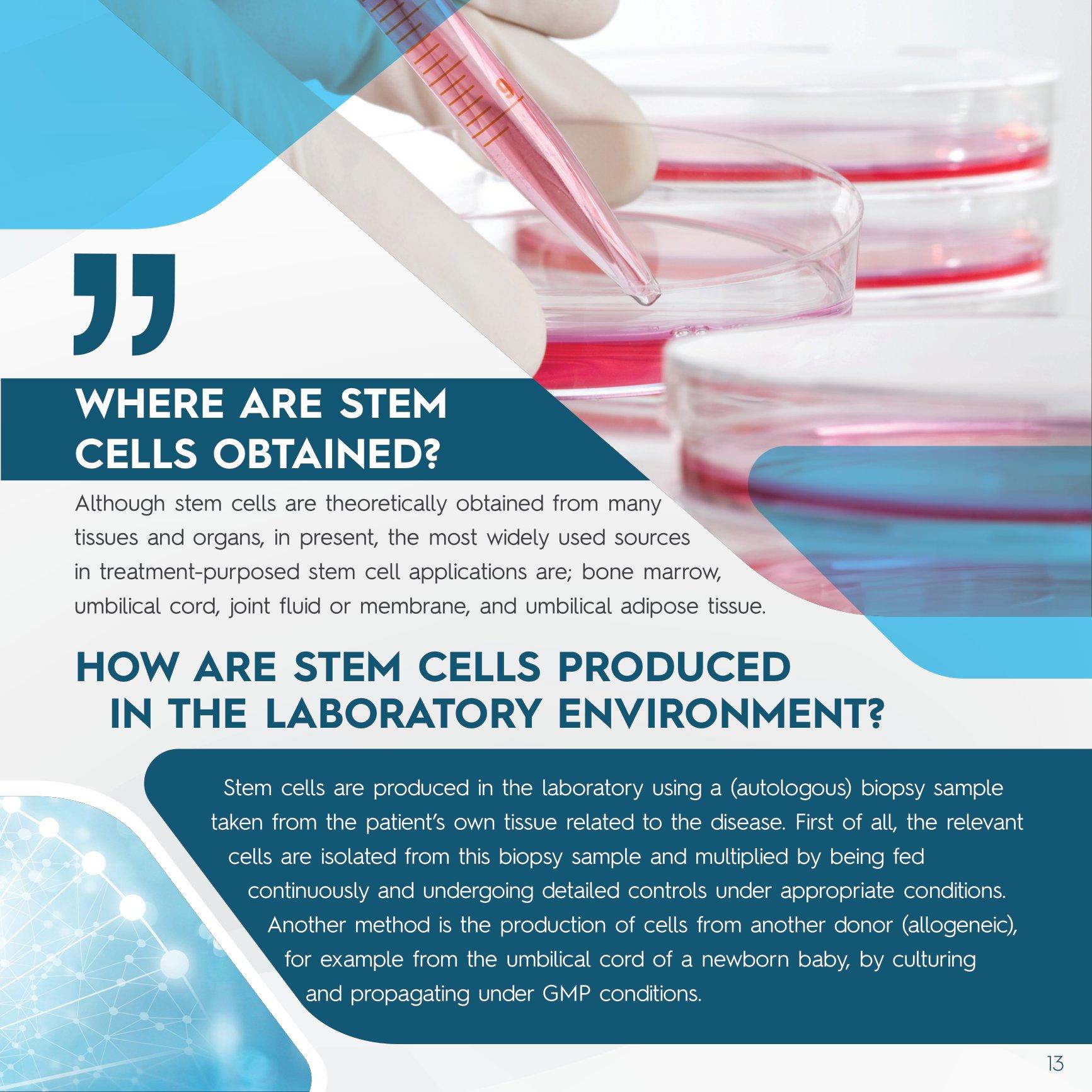 Stem Cell Catalogue New-13