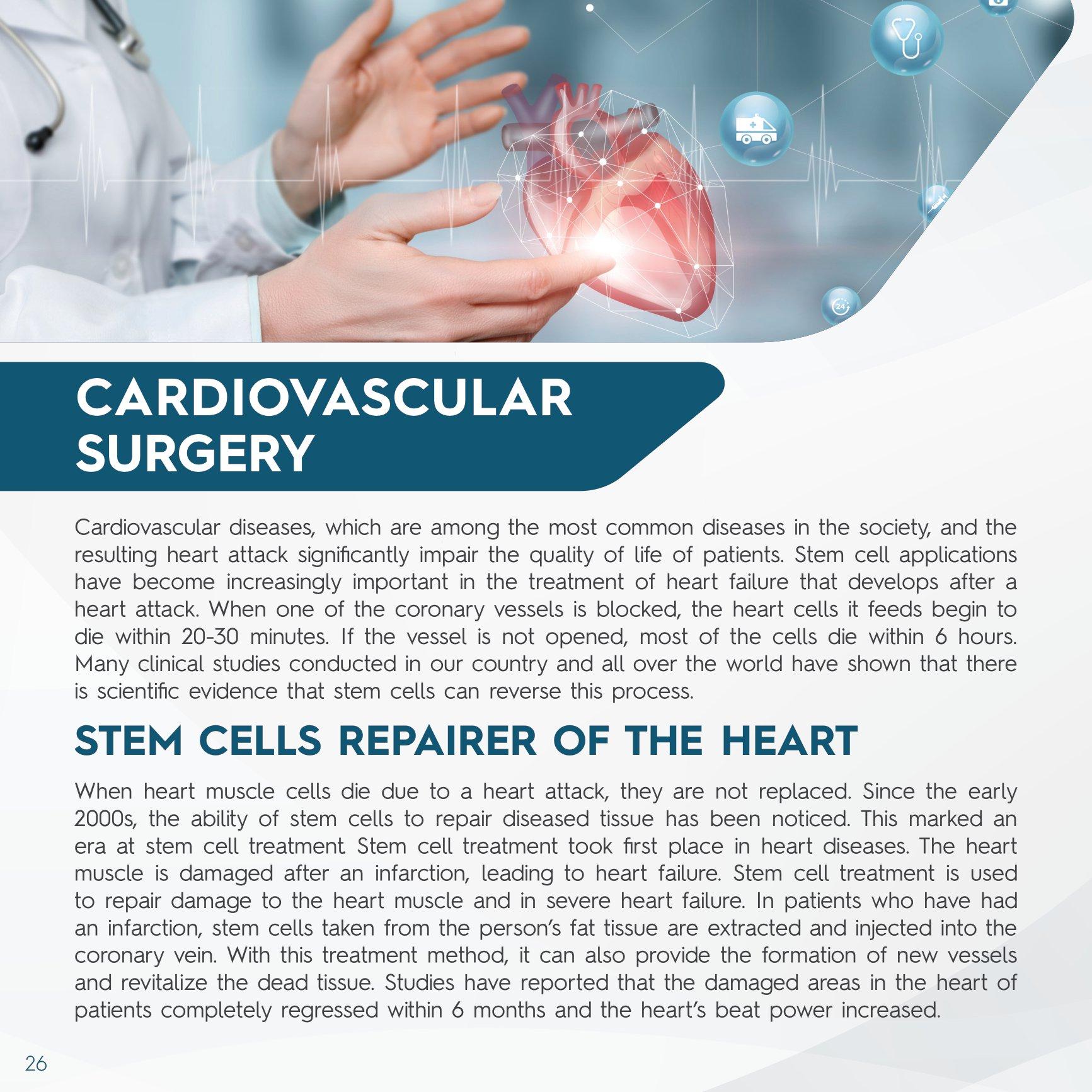 Stem Cell Catalogue New-26