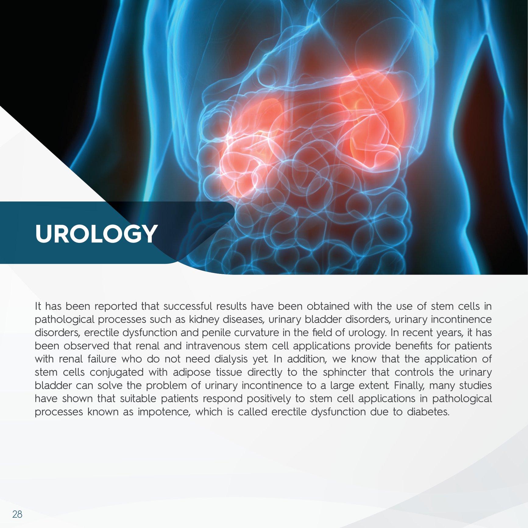 Stem Cell Catalogue New-28