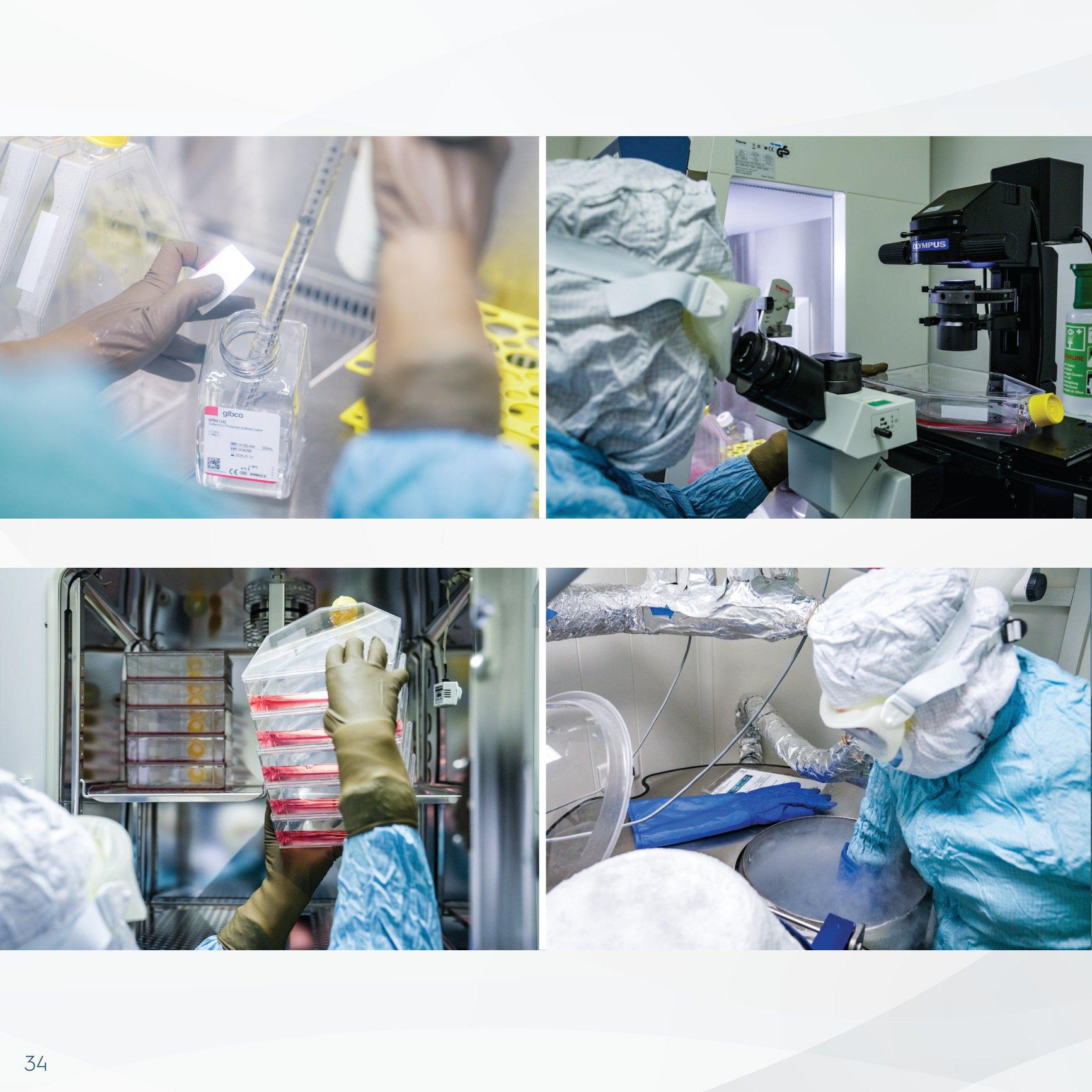 Stem Cell Catalogue New-34