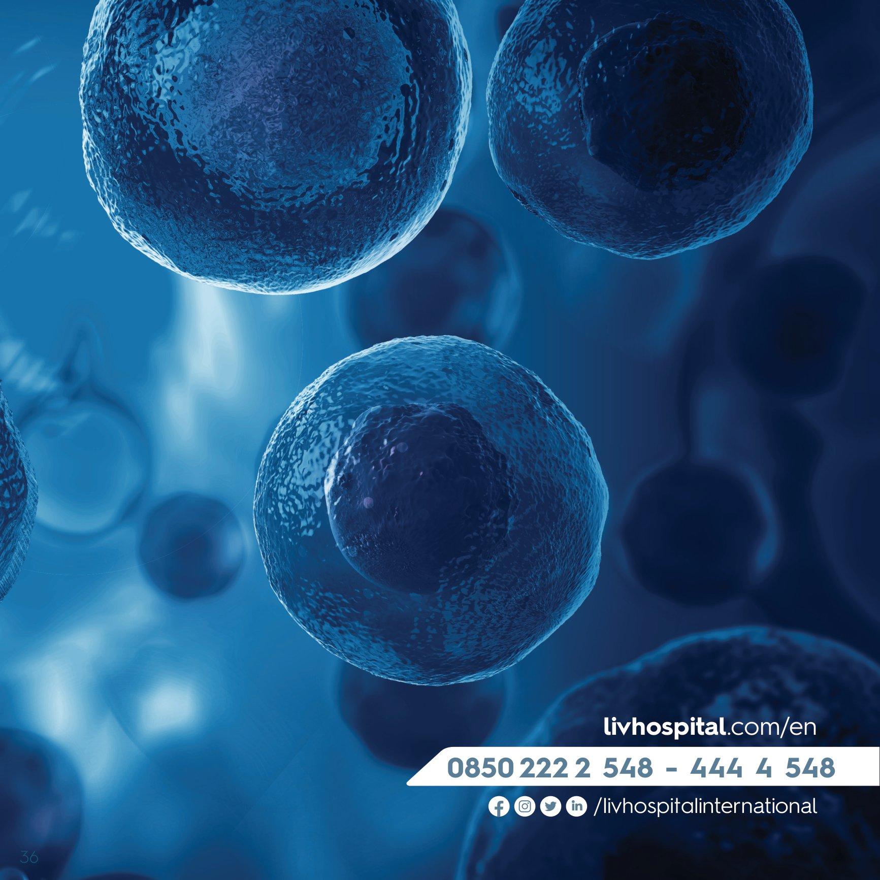 Stem Cell Catalogue New-36