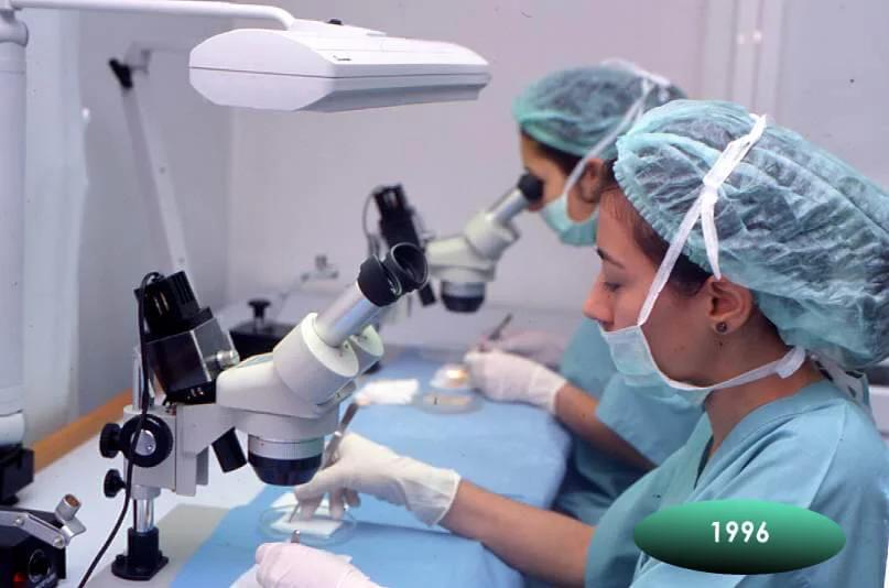 Transmed Hair Clinic Istanbul13