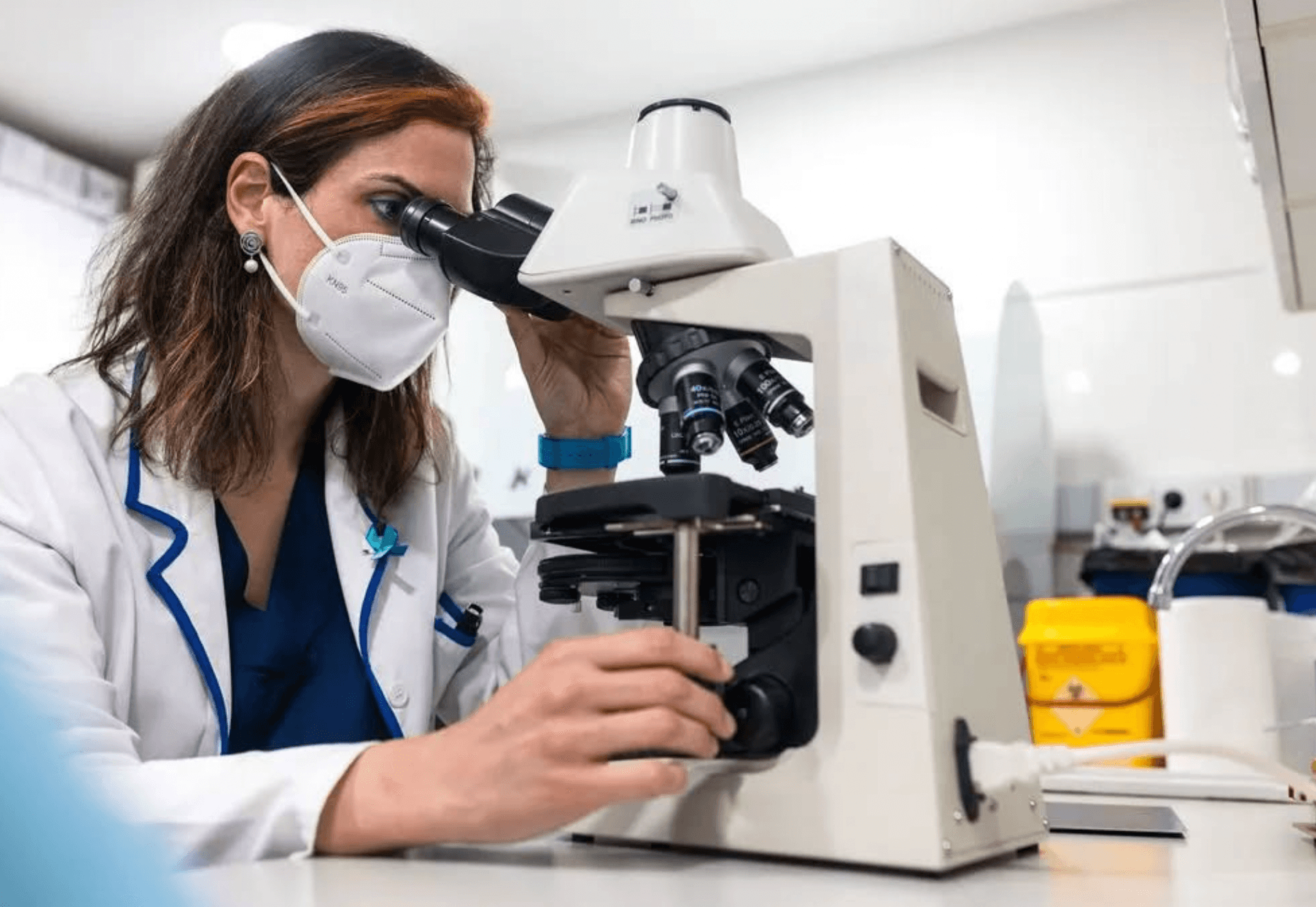 UR MONCLOA - EMBRIOLOGÍA (1)