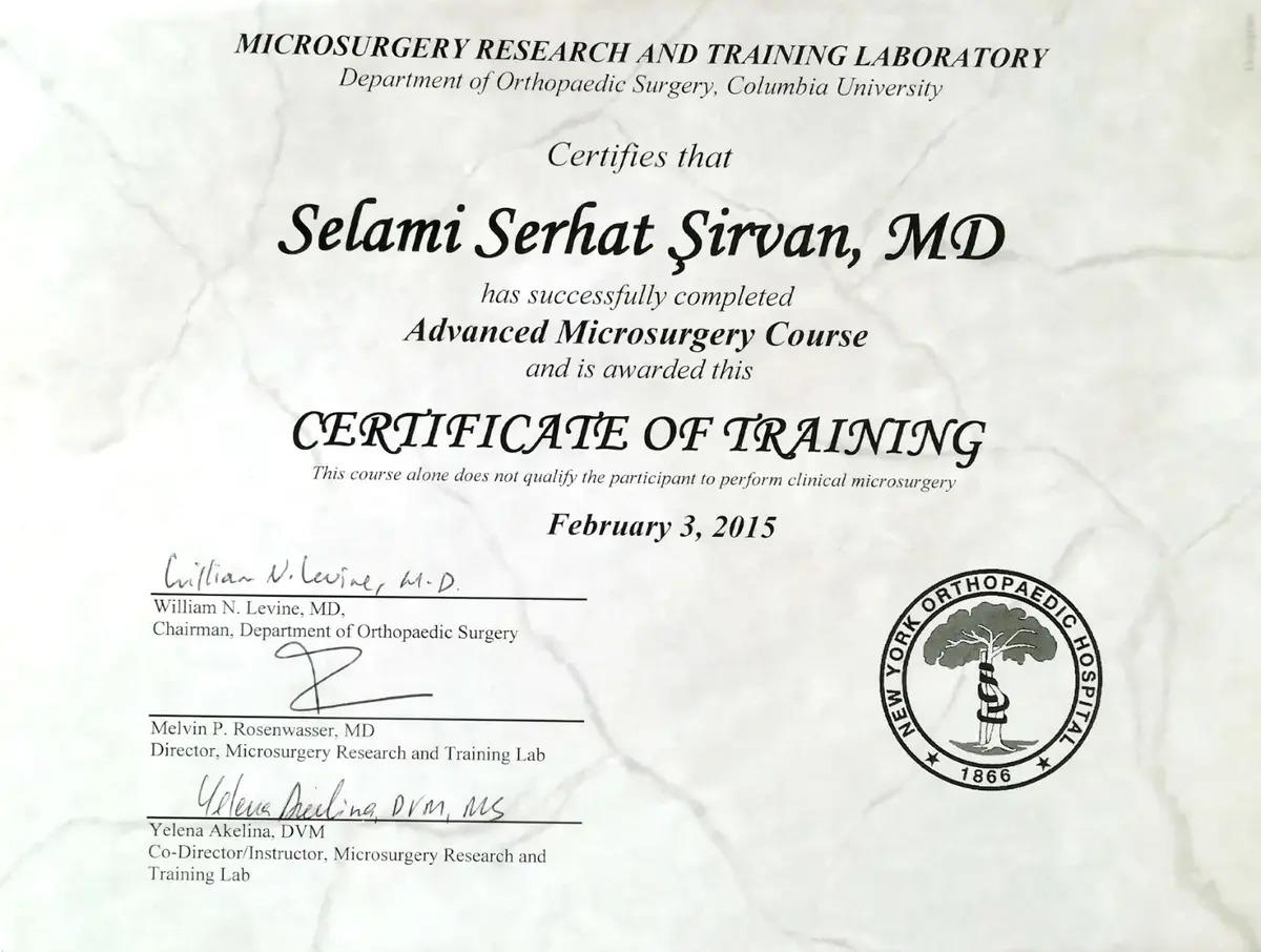 Prof. Dr. Selami Serhat Şirvan certificate