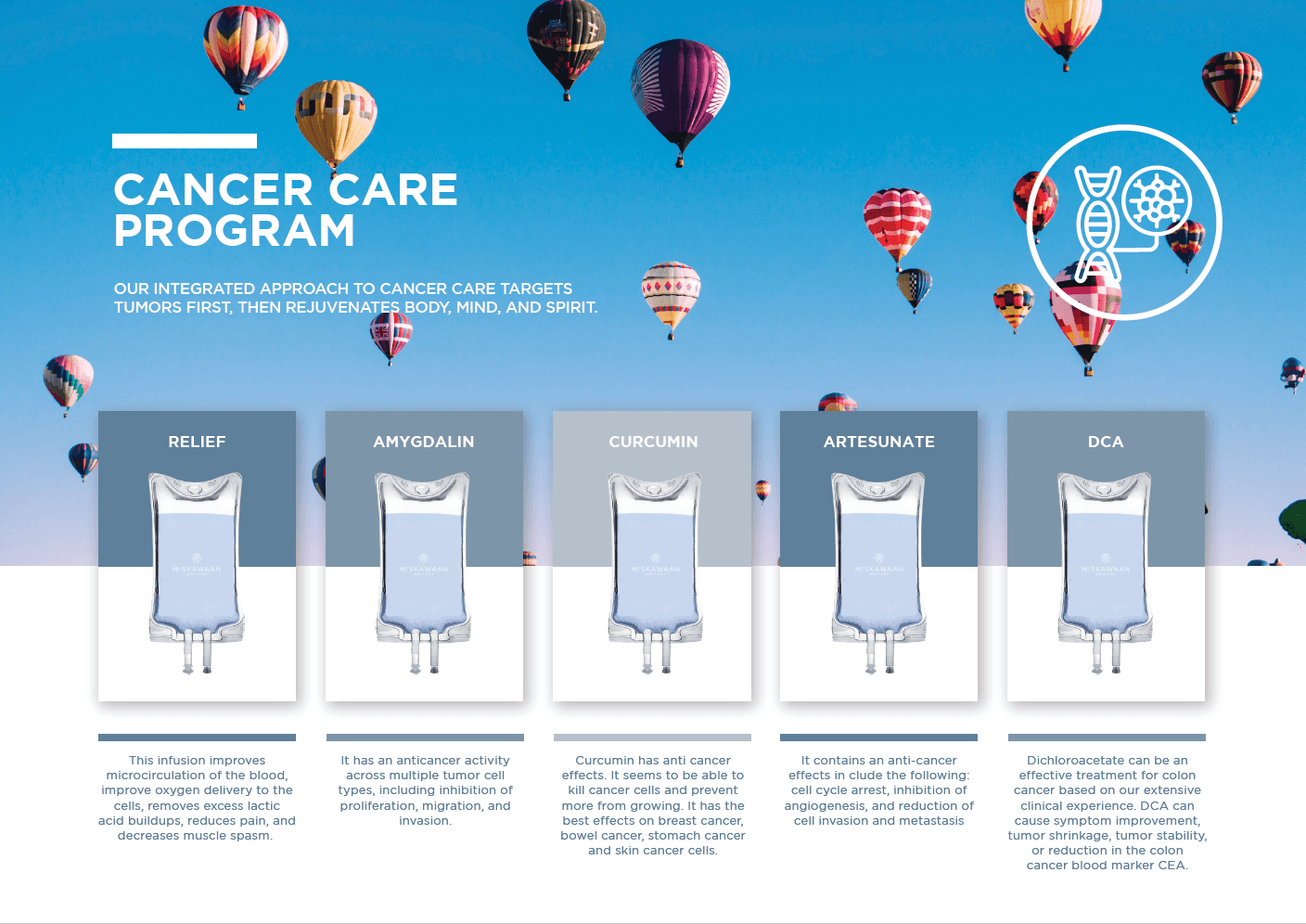 Miskawaan IV BOOSTERS11