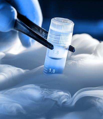 Demarest Clinic in Phuket1