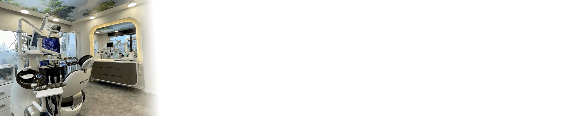 Trend Dent banner