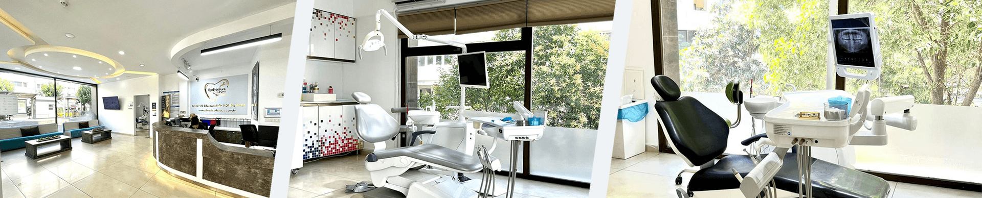 Ephesus global dental banner