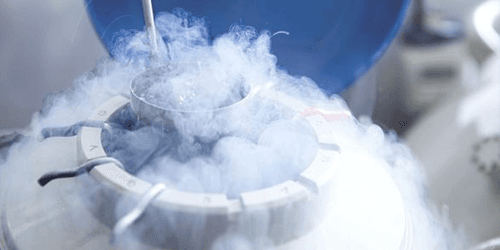 Ovociti di vetrificazione