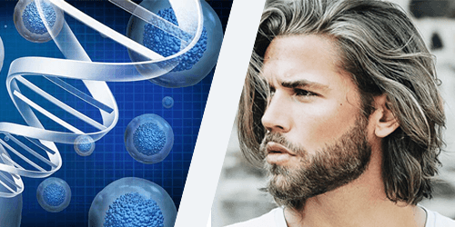 Stem Cells Hair Transplant