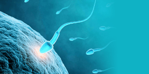 Inseminazione artificiale