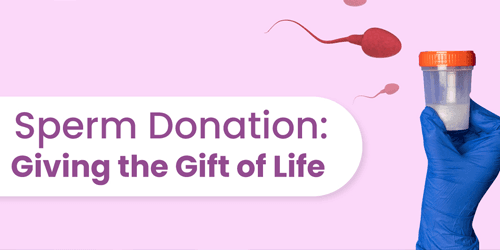 FIV con donazione di sperma