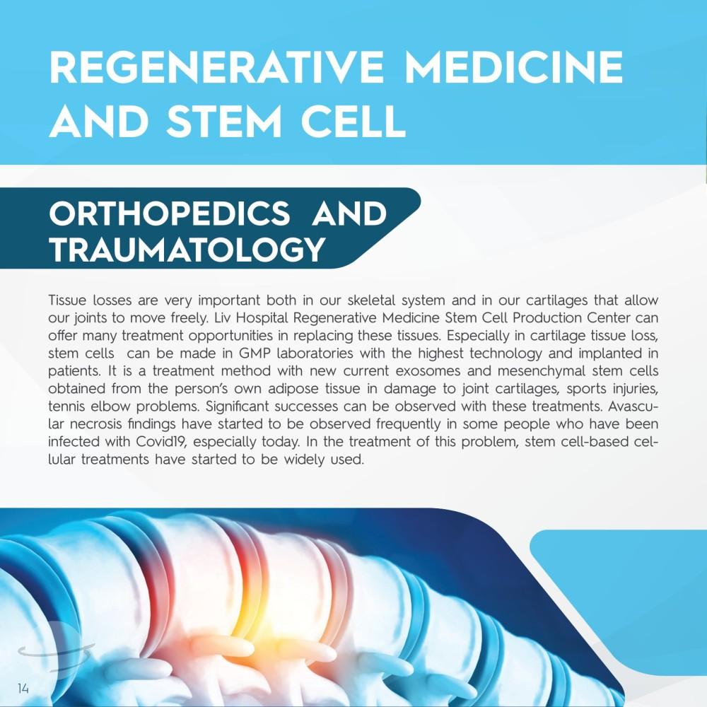 Stem Cell Catalogue New-14