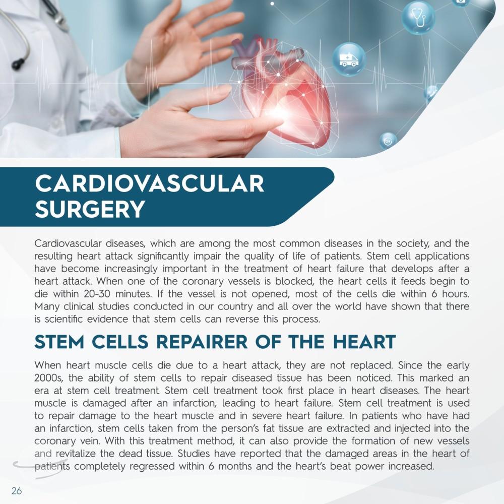 Stem Cell Catalogue New-26