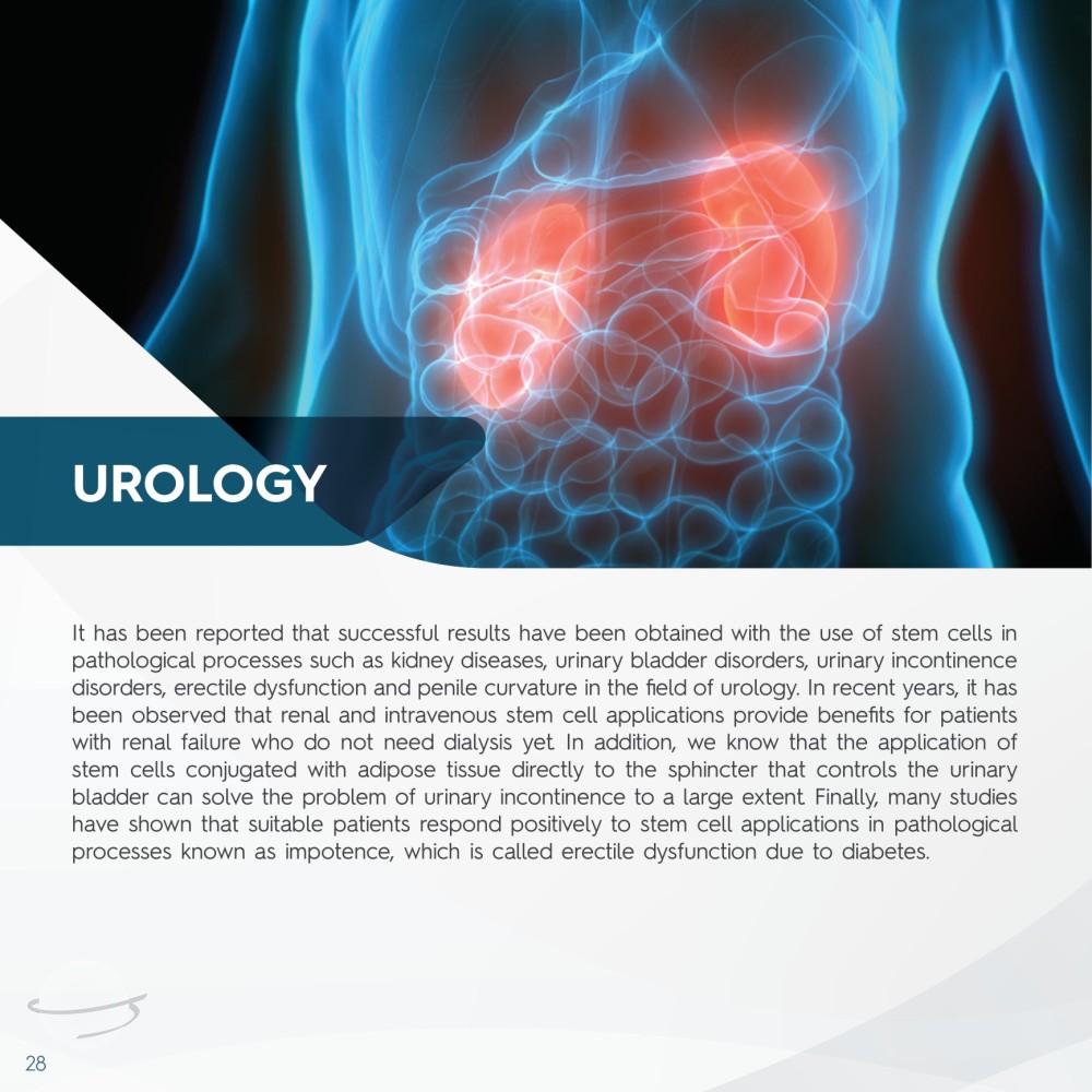 Stem Cell Catalogue New-28