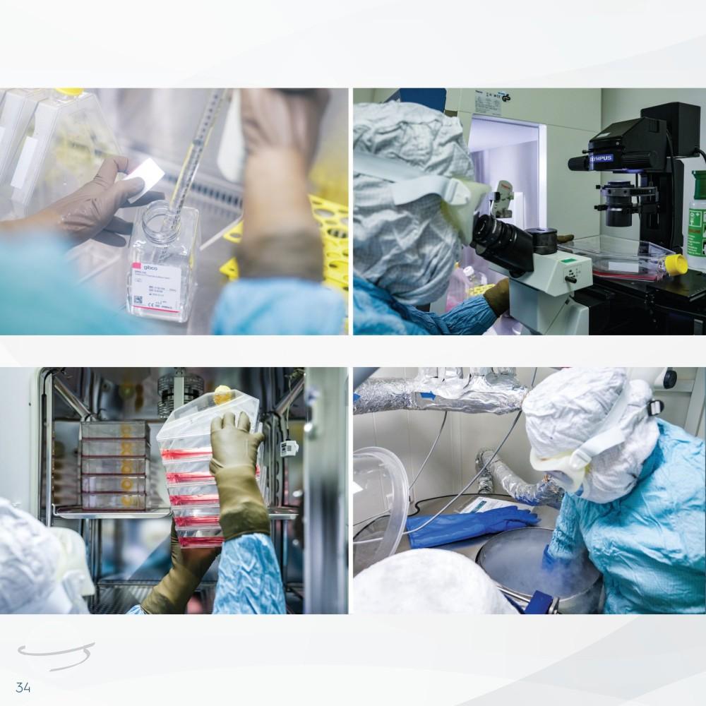 Stem Cell Catalogue New-34