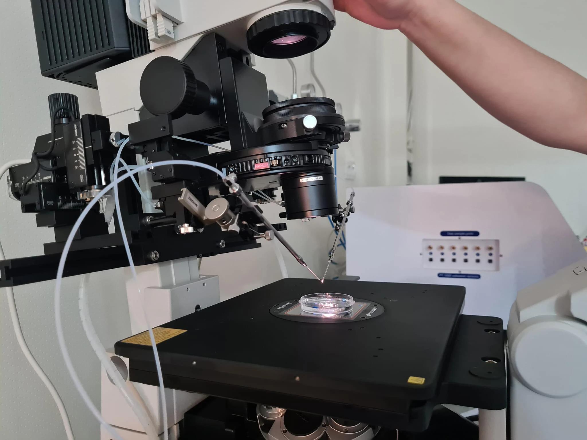 labo tfci FIV tanger 7