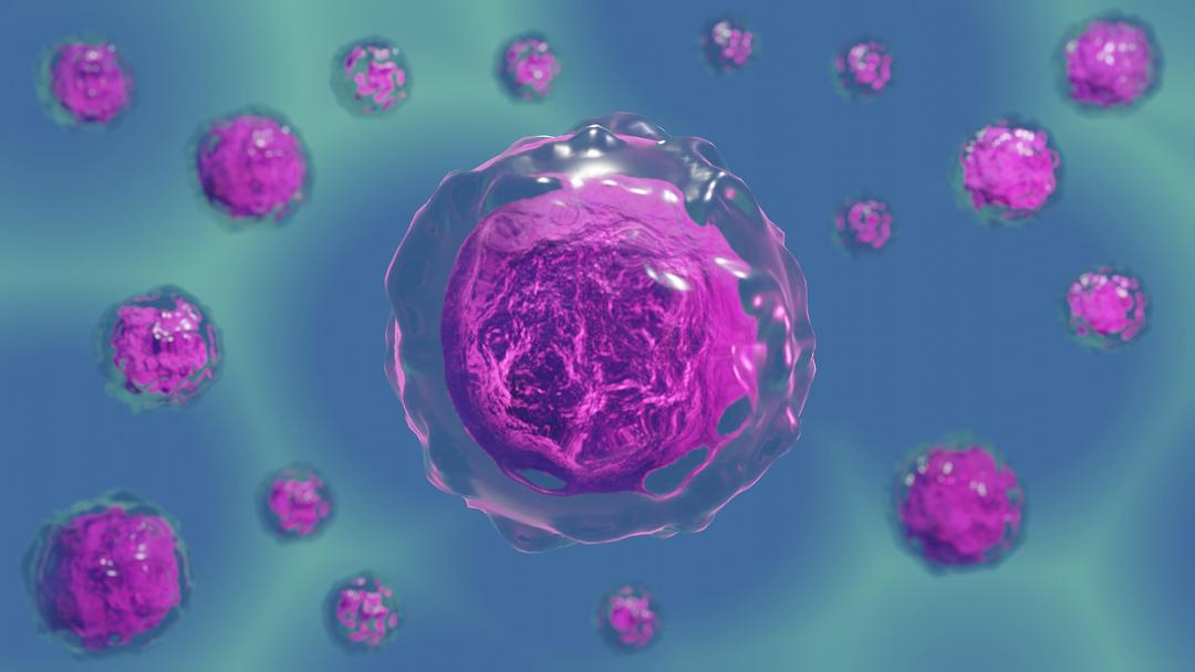 Cellules souches embryonnaires et médecine régénérative
