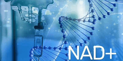 Terapia NAD+