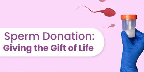 FIV con donazione di sperma