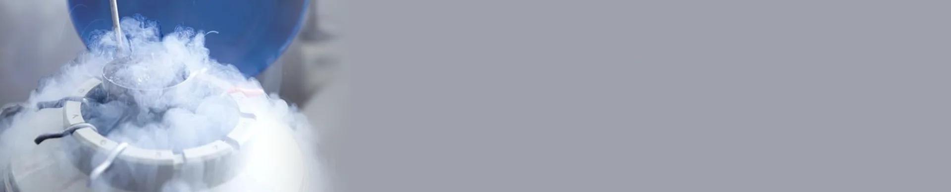 Vitrification Ovocytes — Esthetic Planet