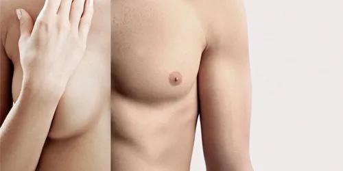 FTM (de mujer a hombre)